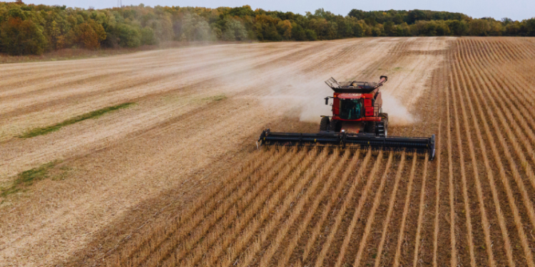 Once a trade war weapon, US soybeans return to China’s shopping list