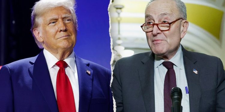 Trump, Schumer find rare common ground on releasing UFO files